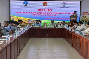 Hỗ trợ nông dân tham gia phát triển kinh tế tập thể
