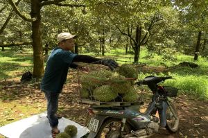 Nhân rộng các chuỗi liên kết sản xuất, tiêu thụ an toàn cho nông lâm thủy sản