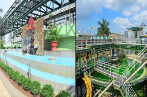 Công ty Ajinomoto đặt mục tiêu giảm 50% CO2 vào năm 2030