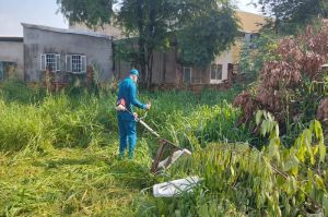 Tiếp tục vệ sinh môi trường, diệt lăng quăng phòng sốt xuất huyết