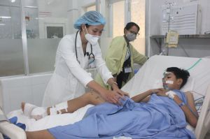 Cần làm gì khi bị rắn cắn?