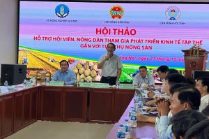 Need to link in agricultural production