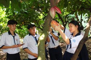 Hiệu quả từ mô hình vườn mẫu kết hợp du lịch