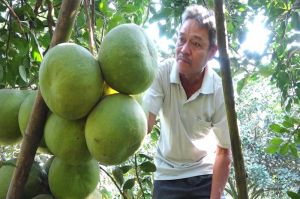 Nông dân làm kinh tế giỏi và hay giúp người nghèo