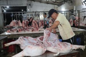 Dồi dào nguồn cung sản phẩm thịt cho thị trường Tết