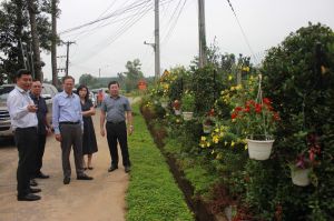 Nhân rộng những tuyến đường sáng, xanh, sạch, đẹp