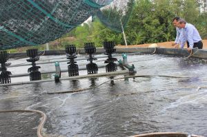 Ngành thủy sản bứt phá về tăng trưởng