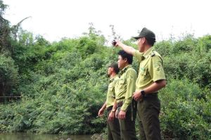 Khó khăn vì nhiều kiểm lâm trực tiếp giữ rừng nghỉ việc