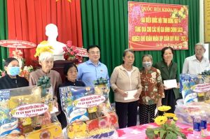 Đại biểu Quốc hội tặng quà Tết cho gia đình chính sách, gia đình khó khăn