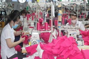 Some industries in Dong Nai have a huge export surplus