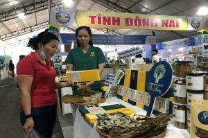 Dong Nai participated in the program to connect supply and demand between Ho Chi Minh City and other provinces and cities