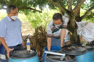 Self-Making organic fertilizer from waste source