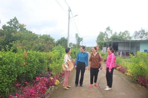 Bừng sáng các tuyến đường nông thôn mới