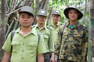 Giữ rừng ngày Xuân