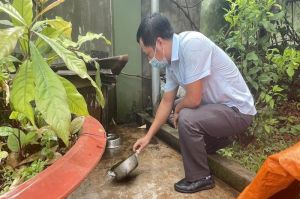 Giảm số ca mắc sốt xuất huyết hằng năm