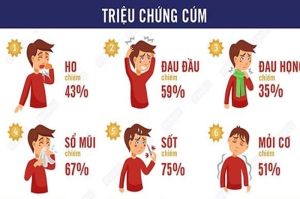 Công văn khẩn về việc phòng bệnh cúm A H5N1