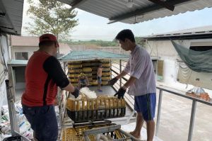 Developing the chain of industrial chicken farming