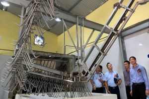 Breeding households sell VietGAHP pigs to supermarket chains