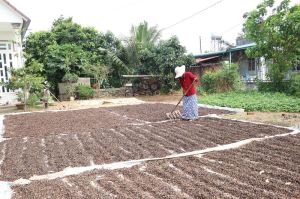 Breakthrough in the export of industrial crops