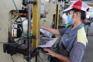 There are 5 products Dong Nai imported more than billion USD