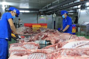 Xây dựng chuỗi an toàn thực phẩm
