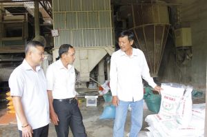 Old farmer builds a brand of specialty clean rice in Dong Nai