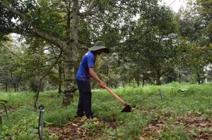 Khấm khá nhờ nhận dịch vụ làm thuê