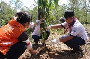 Đồng Nai lấy ý kiến áp dụng hệ số chi trả tiền dịch vụ môi trường rừng
