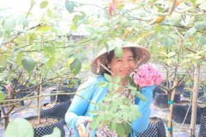 Khởi nghiệp từ niềm đam mê hoa hồng