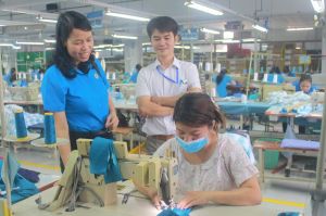 Promoting the implementation of democratic regulations in enterprises