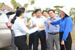 HĐND giám sát về nội dung phản ánh phân lô bán đất nông nghiệp trên địa bàn huyện Trảng Bom