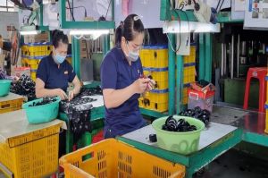 Người lao động mong chờ tăng lương