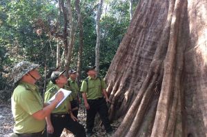 Kiểm lâm viên đến từ núi rừng Tây Bắc