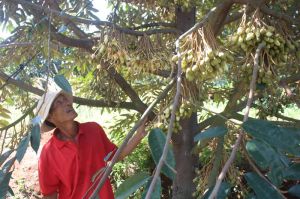 Đồi 57 khoác chiếc áo mới