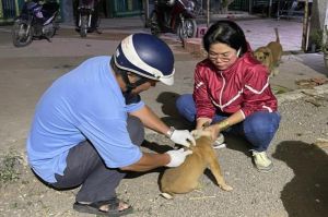 Ngăn chặn mầm bệnh dại lây lan