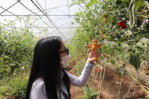 Đồng Nai phấn đấu có 2 huyện nông thôn mới nâng cao năm 2023