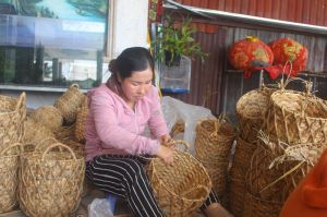 Thoát nghèo nhờ lục bình