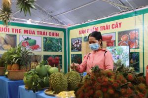 Phát huy tiềm năng du lịch từng địa phương
