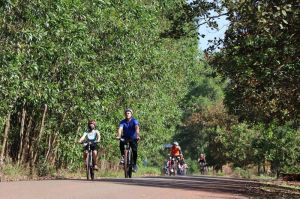 Tháo gỡ những vướng mắc cho Dự án Safari