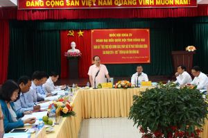 Dong Nai is expected to have 11 more power projects