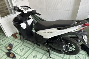 Triệt phá băng nhóm trộm cắp tài sản