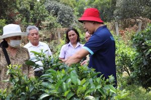 Phát triển công dân học tập - cần những điển hình