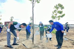 Triển khai rộng rãi phong trào trồng, chăm sóc và bảo vệ cây xanh