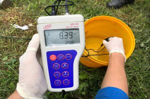 Có 2 nhà máy xử lý nước thải bị vượt quy chuẩn