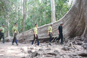 Những áp lực, hiểm nguy trong bảo vệ rừng