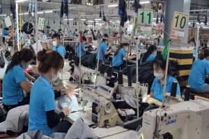 Tăng cường hỗ trợ lao động bị ảnh hưởng đến việc làm