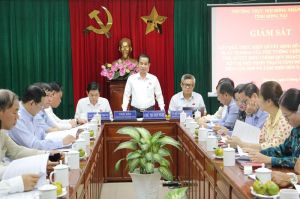 Rà soát các khó khăn, bất cập để điều chỉnh quy hoạch chung đô thị mới Nhơn Trạch