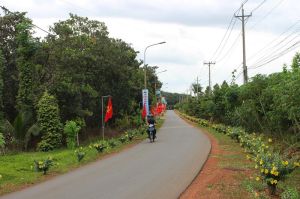 Đồng Nai: Tình trạng tách thửa đất nông nghiệp giảm sau khi ban hành Quyết định số 35/2022/QĐ-UBND, quản lý đất đai thuận lợi hơn