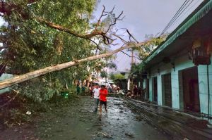 Mưa trái mùa gây nhiều thiệt hại