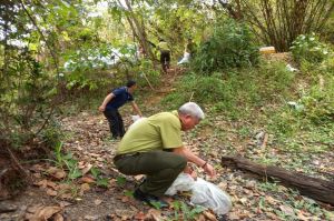 Thả nhiều cá thể động vật hoang dã về môi trường tự nhiên